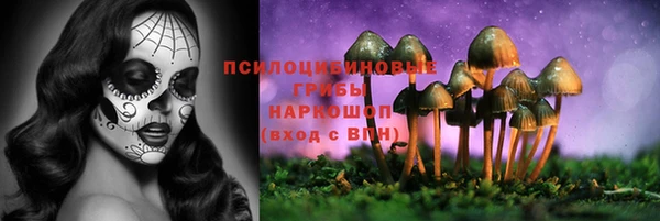 а пвп мука Бронницы