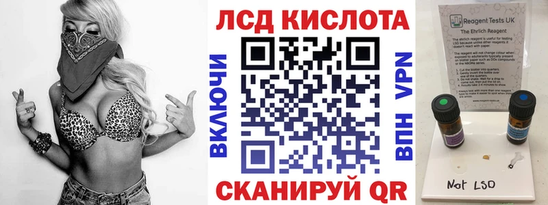 где найти наркотики  Камень-на-Оби  Марки N-bome 1,5мг 
