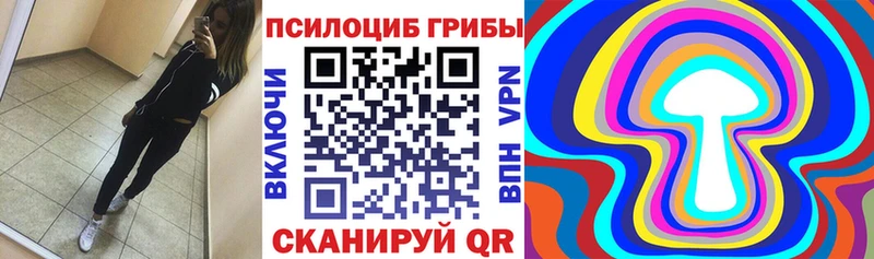 mega   наркошоп  Камень-на-Оби  Галлюциногенные грибы Psilocybine cubensis 