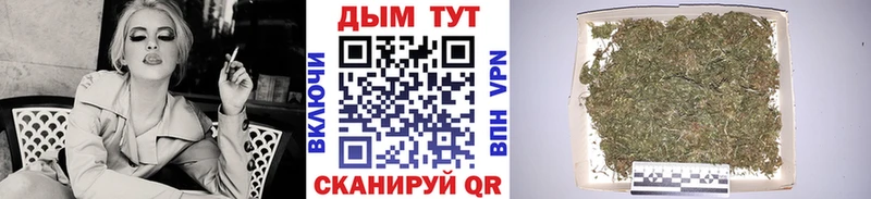 Конопля Bruce Banner  наркотики  Камень-на-Оби 